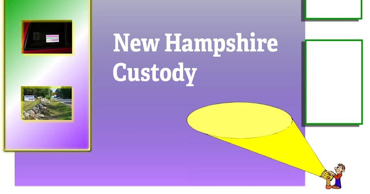 New Hampshire Custody